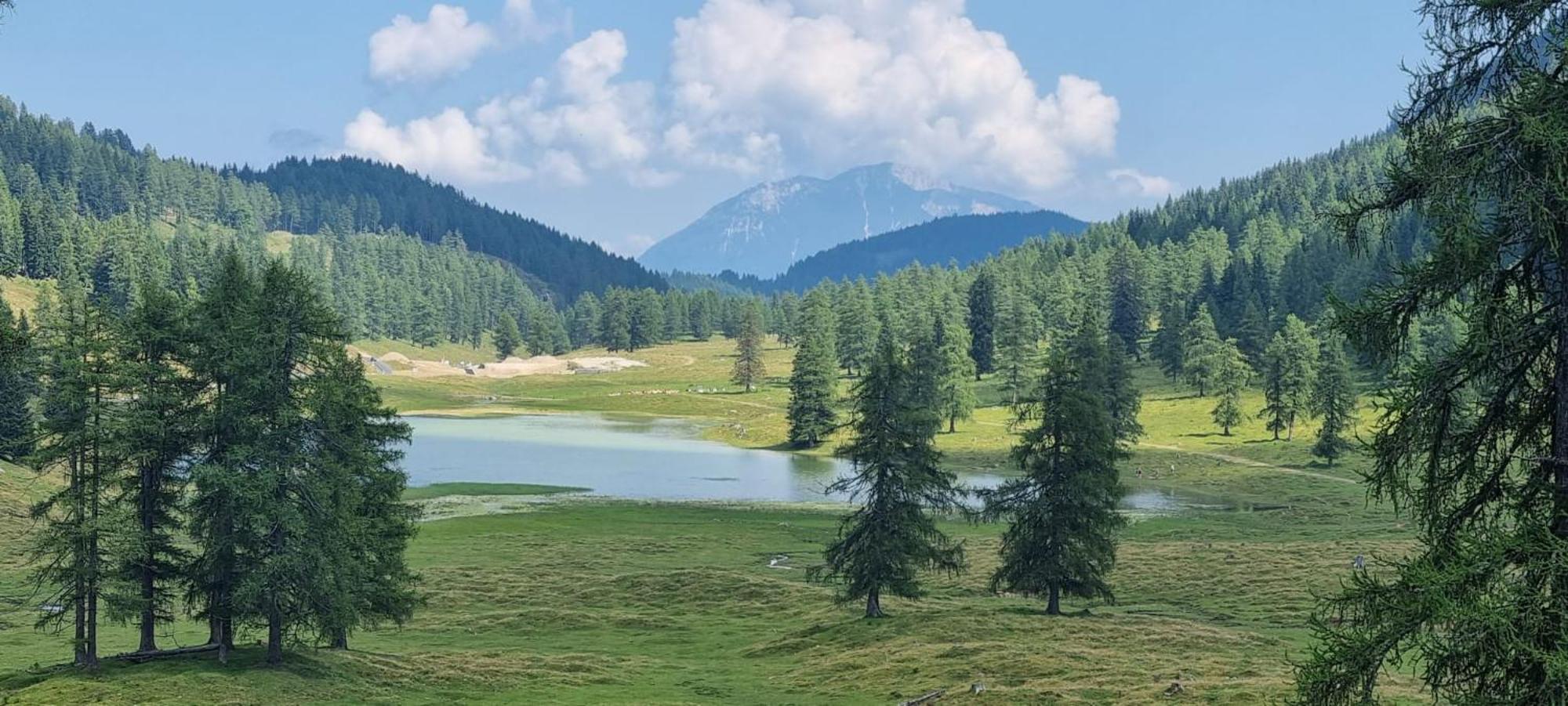 Landhaus Marie Hermagor-Pressegger See Dış mekan fotoğraf